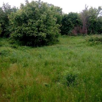 Продам ділянку з будинком під ремонт Баварія