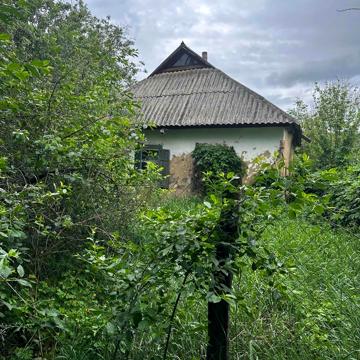 Вільхова