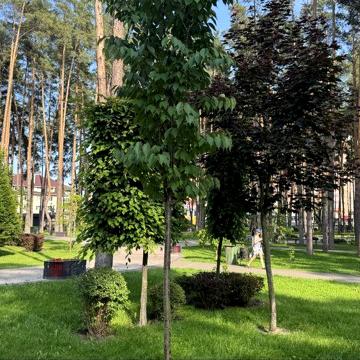 СЕРТИФІКАТ.Видова 2к квартира біля Центрального парку. Оформл.-2%
