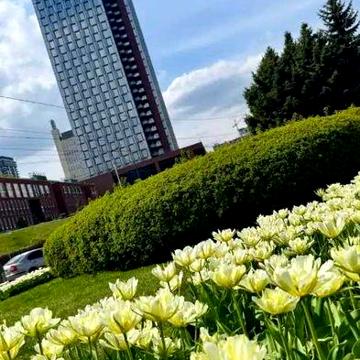 Продам 1к квартиру в ЖК "Маяк", Набережная ЖК MAYAK