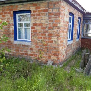 Будинок с.Михайлівка! 66 соток, поряд р.Рось і ліс, 12 км.від Канева