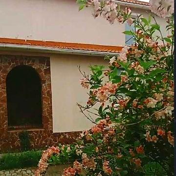 Продам добротний будинок в Негрешах (26 км від Києва)