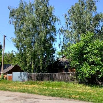 Продається хата-дача село Березоточа, Лубенський район, Полтавська обл
