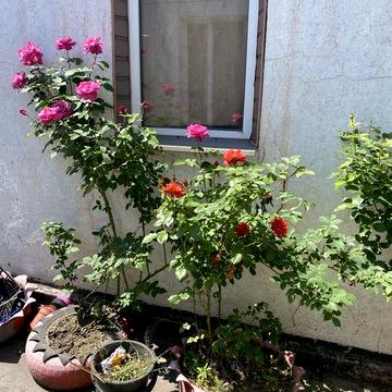 Продам частину будинку в Камянському