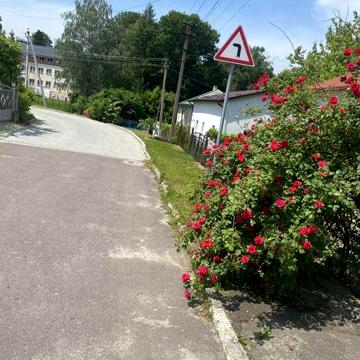 Оренда квартири в будинку