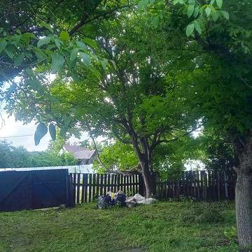 Продається будинок в с. Недра. Київська область, Броварський район
