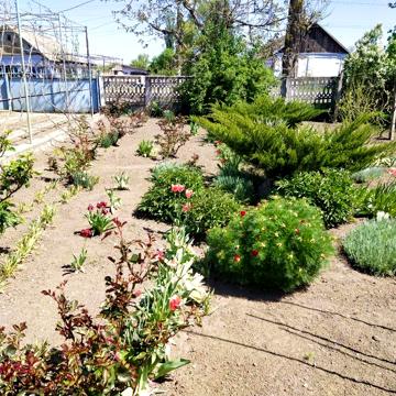 Продается дом с.Степановка