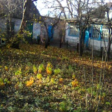 Будинок с. Щербані, Полтавська область