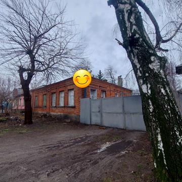 Миротворча вул. (Толстого)
