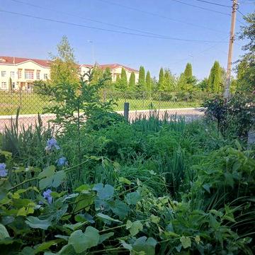 Будинок в Звягелі