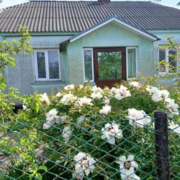 Продам хату, літню кухню, госп. приміщення (15 сот.) в Турійську
