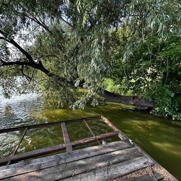 Будинок  в смт.Гребінки на березі річки