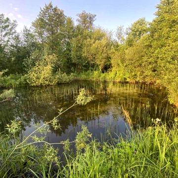 Будинок село Буща.
