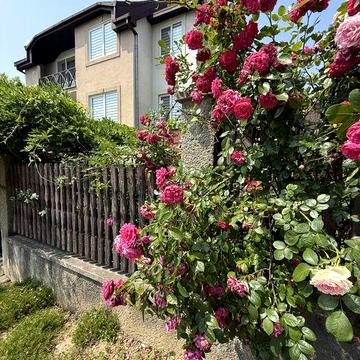 Продається будинок! Кошицька!