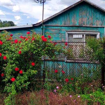 Продам дачу в Чапли ( Приднепровск)