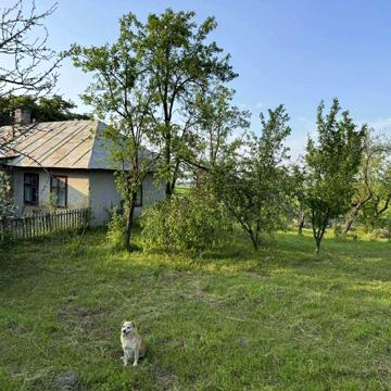 Продам будинок в селі Салашка
