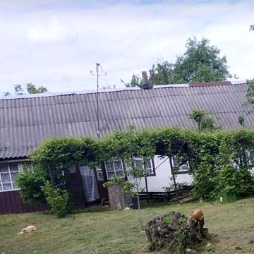 Будинок в Хорошівському районі. Терміново! 60 соток землі!
