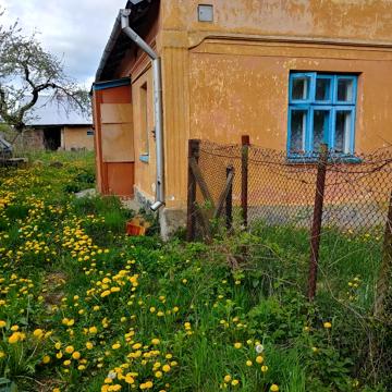 квіткова, 305