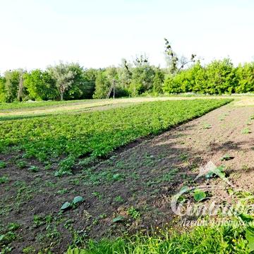 Ділянка з будинком в с.Македони Обухівського р-ну Київської обл.