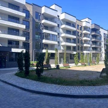 Квітки Цісик вул. (Гамарника), 7
