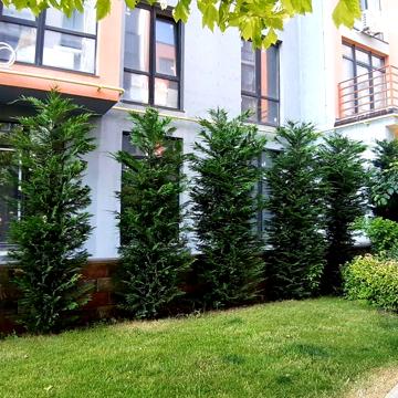 Продаж 2к Квартира Марсельська вулиця ЖК Приморские Сады