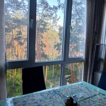 Власна 1-к квартира з видом на Парк