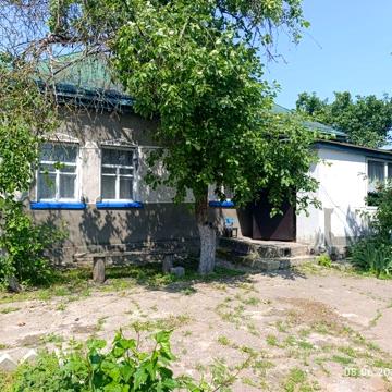 Продається будинок в селі Велика Стариця