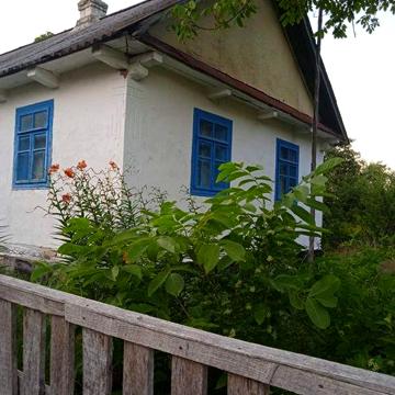 Будинок садиба біля лісу