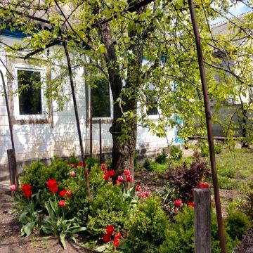 Дом в Днепропетровской области