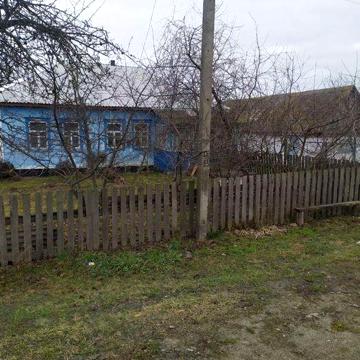 Продається будинок в селі Потаповичі Коростенського району