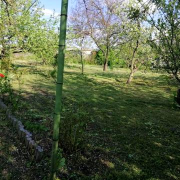 Продам хату в селі Тарасівка Білоцерківського району