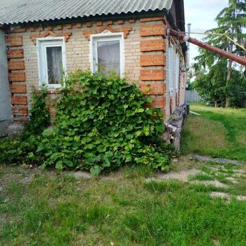 Продам 1/2 дома в Солоницевке