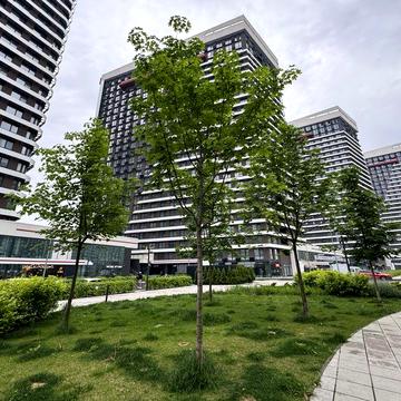 1к квартира 49.58м2, ЖК Грейт (Great), 9 буд., 1R5, 15 поверх. Без%. ЖК Great