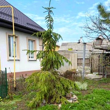 Будинок на Решкуті