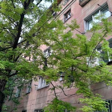 Срочно продам 2 ком квартиру.  Жилое состояние.