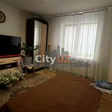 Продається будинок з великою ділянкою