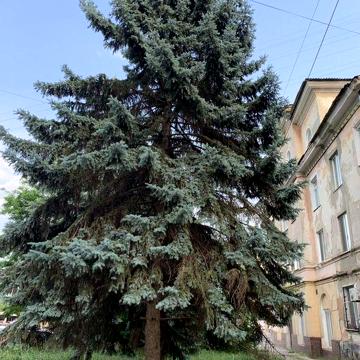 3кім. СТАЛІНКА на зупинці СТАВКИ. Можна заселятись. ЄВІДНОВЛЕННЯ можна