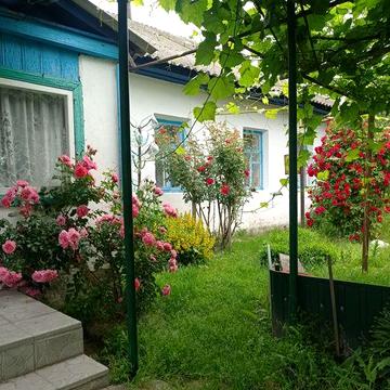Будинок по трасі Чернігів-Київ в селі Серединка.ЗРУЧНОСТІ. Зем. 2га.