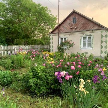 Продам будинок в с.Великі Мошківці з землею 0,75га
