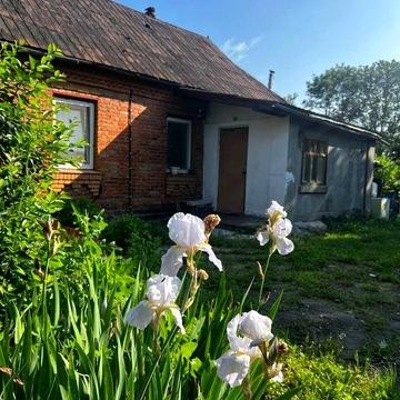 Продам цегляний будинок+30 соток землі, Волиця