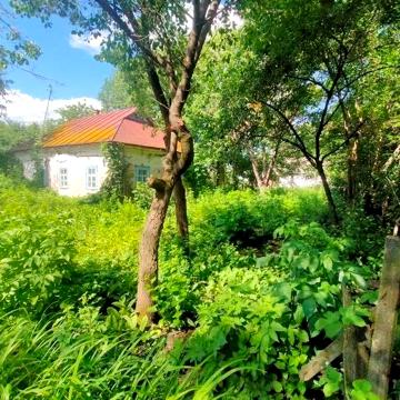Продам старий будинок в селі Чупира!