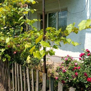 Продаж квартири 3+1 у м.Благовіщенське, Кіровоградскої обл., 58 кв. м.