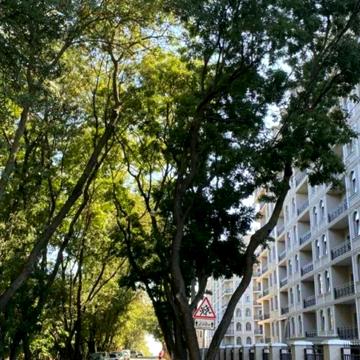 Дача Ковалевського вул., 91