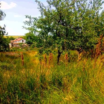 (3-9) В продаже капитальный дом в 20 км от Одессы