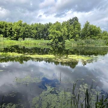 Будинок біля річки Псел
