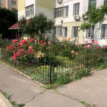 Королева / тополева 4 комнатная каартра