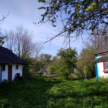 Оренда будинку біля ставка