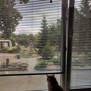 СРОЧНО!!! Продається 2-х кмн. Сталінка на 20-ом (Універмаг)