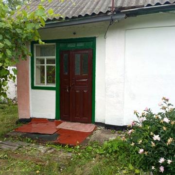 Будиночок в селі