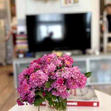 Саксаганського вул., 22